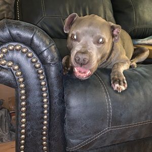 Meet your Posher, Joann